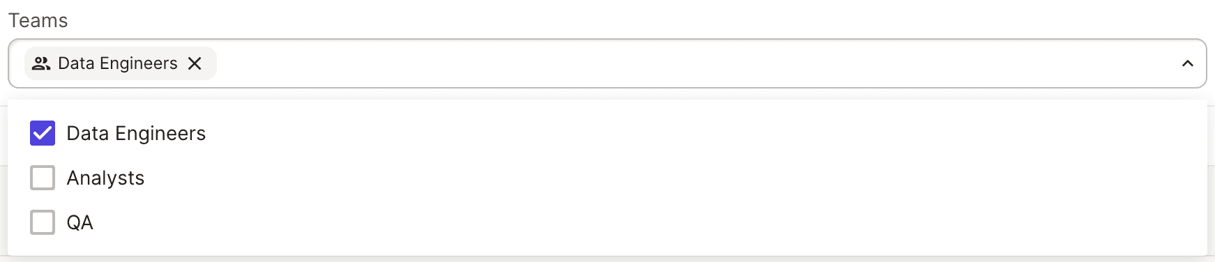 Adding a user to a team in the Dagster+ UI